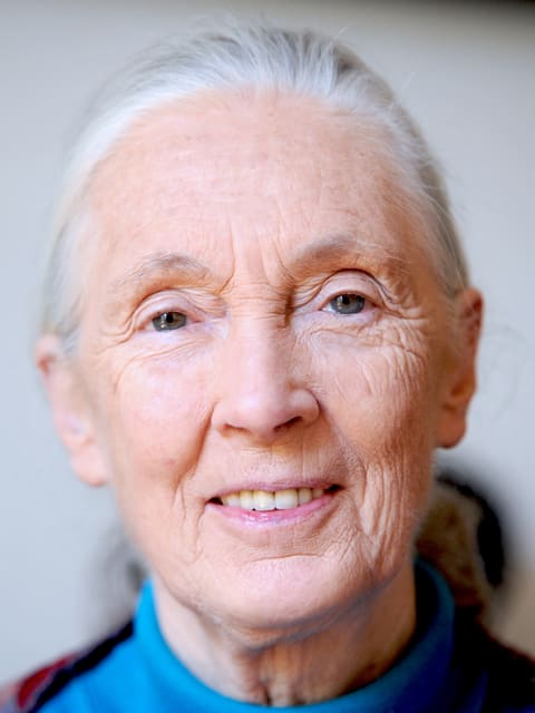 Jane Goodall